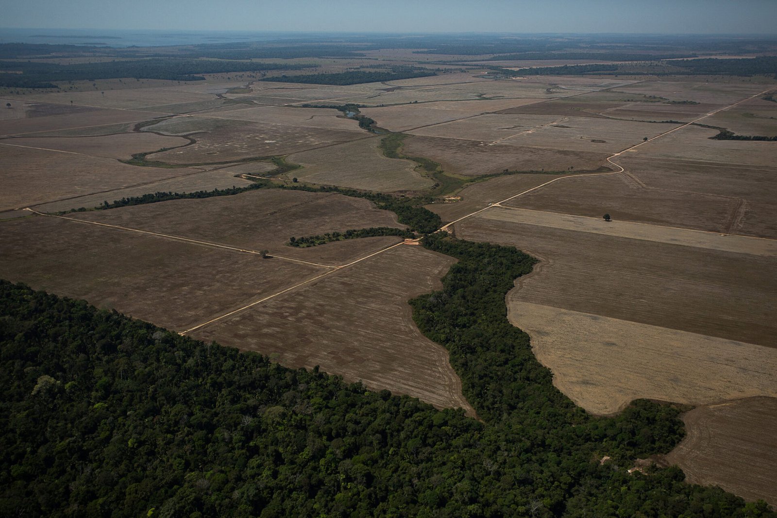 Deforestación en la Amazonia brasileña, territorio clave para la política ambiental tras la virada de Lula